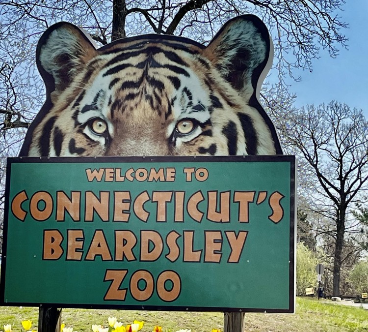 connecticuts-beardsley-zoo-photo